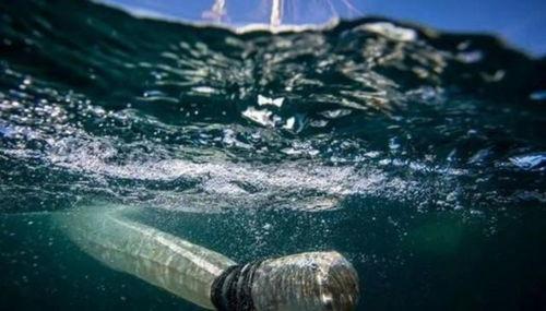 核废水吃瓜,吃瓜群众如何应对潜在风险