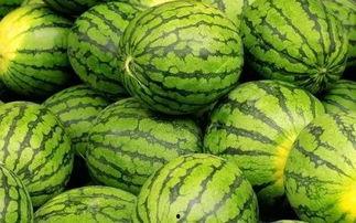 小暑吃瓜大赛,小暑吃瓜大赛，瓜果飘香乐翻天