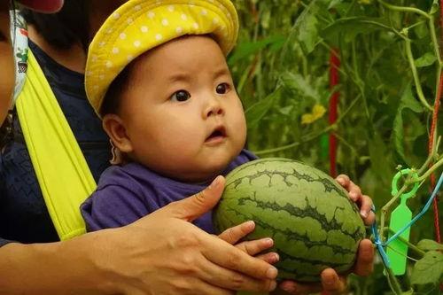 甜心吃瓜群,揭秘娱乐圈幕后故事，带你领略明星们的真实生活